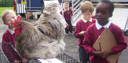 Fishers Mobile Farm @ Grosvenor Road Primary School